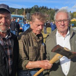 –Fellesskap og bygdemoro tufta på dugnad og lokalt engasjement. Gratis og opent for alle!